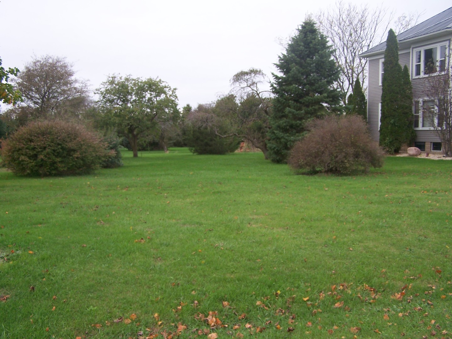 4045 East 22nd Road Serena, IL 60549 - Photo 6 of 31 a view of a field of grass and trees