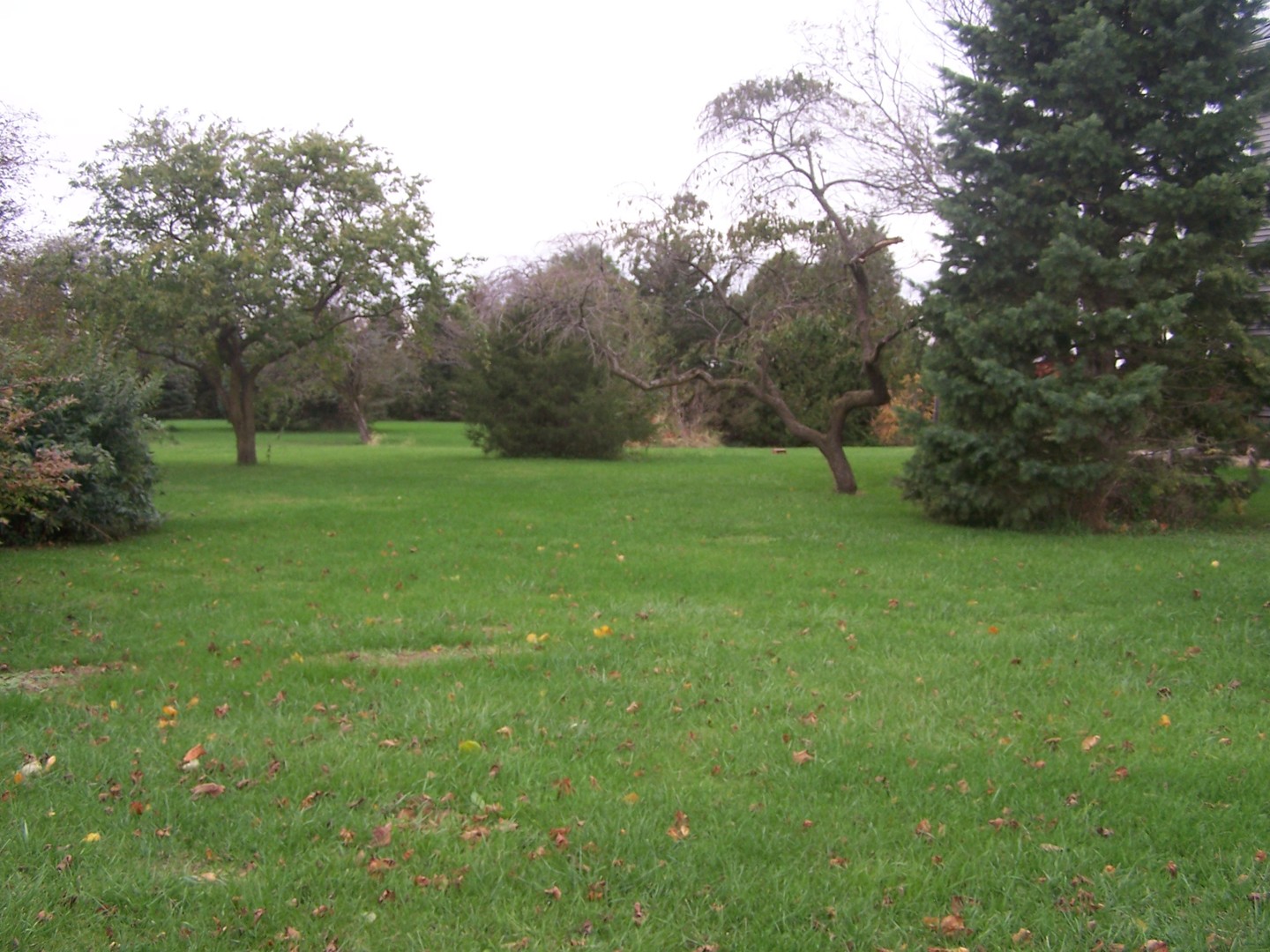4045 East 22nd Road Serena, IL 60549 - Photo 7 of 31 a view of field with trees in the background