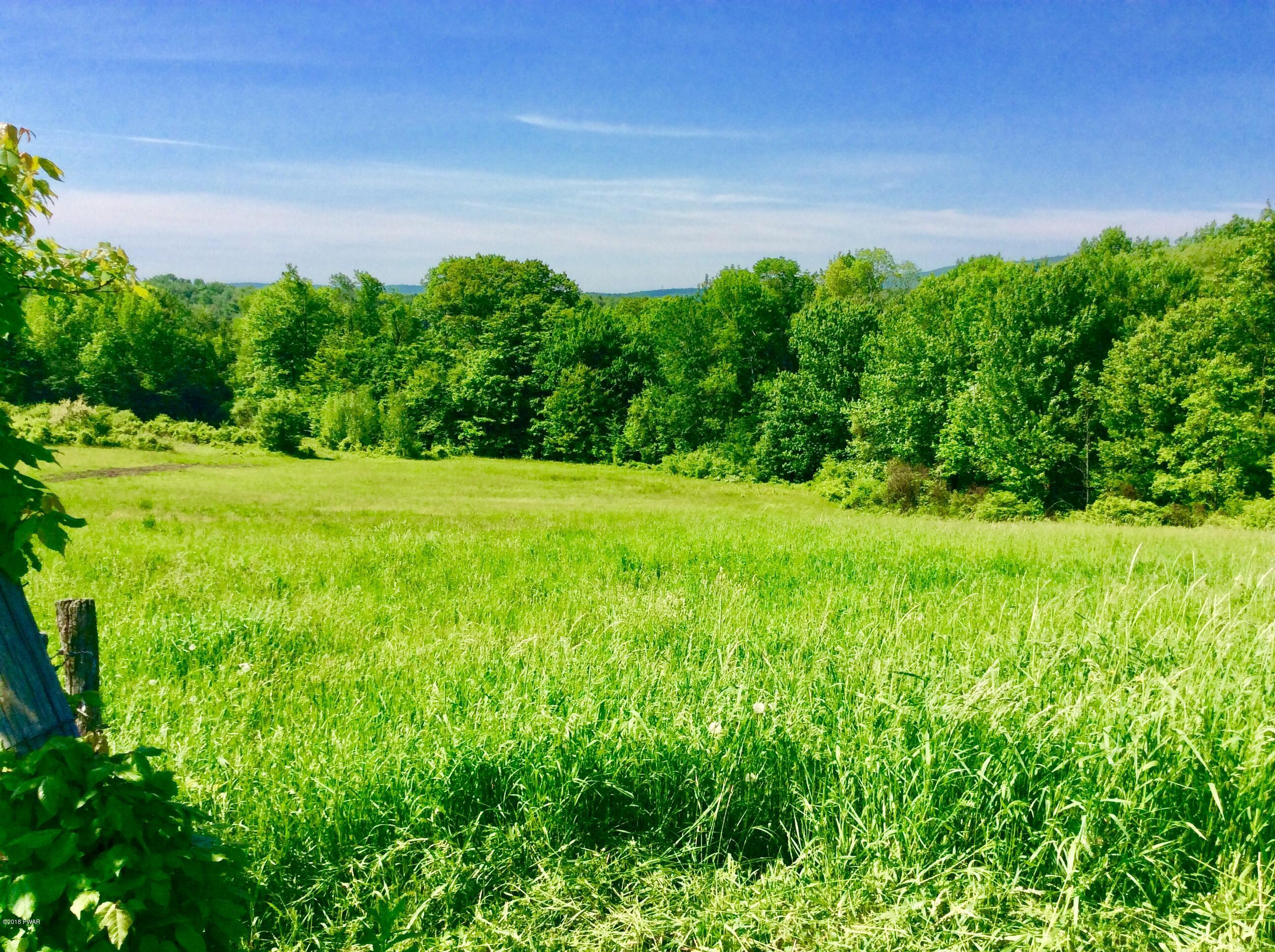 Jubinsky Road Waymart, PA 18472 - Photo 2 of 9