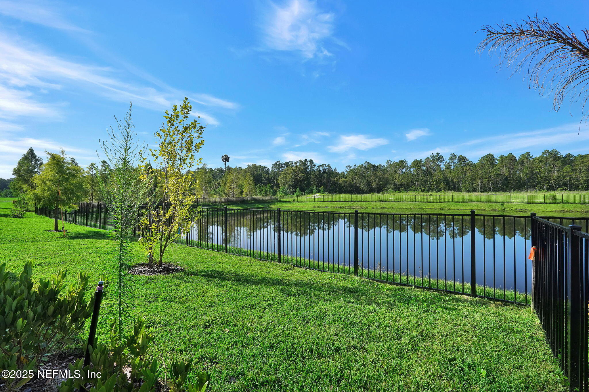 239 Fairlake Circle St. Augustine, FL 32092 - Photo 28 of 30 a view of a park with a big yard