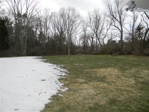 353 York Street Canton, MA 02021 - Photo 12 of 13 Gallery Image 12