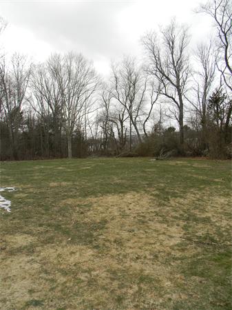 353 York Street Canton, MA 02021 - Photo 13 of 13 Gallery Image 13