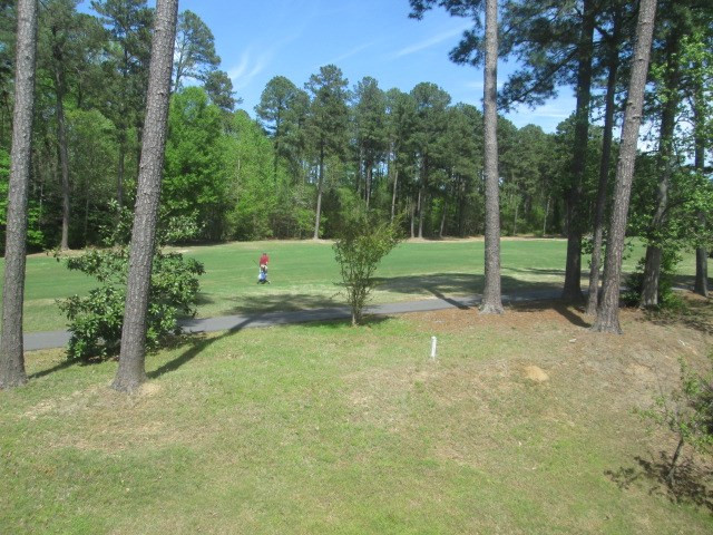 2336 Persimmon Ridge Drive Raleigh, NC 27604 - Photo 26 of 30 Back Yard