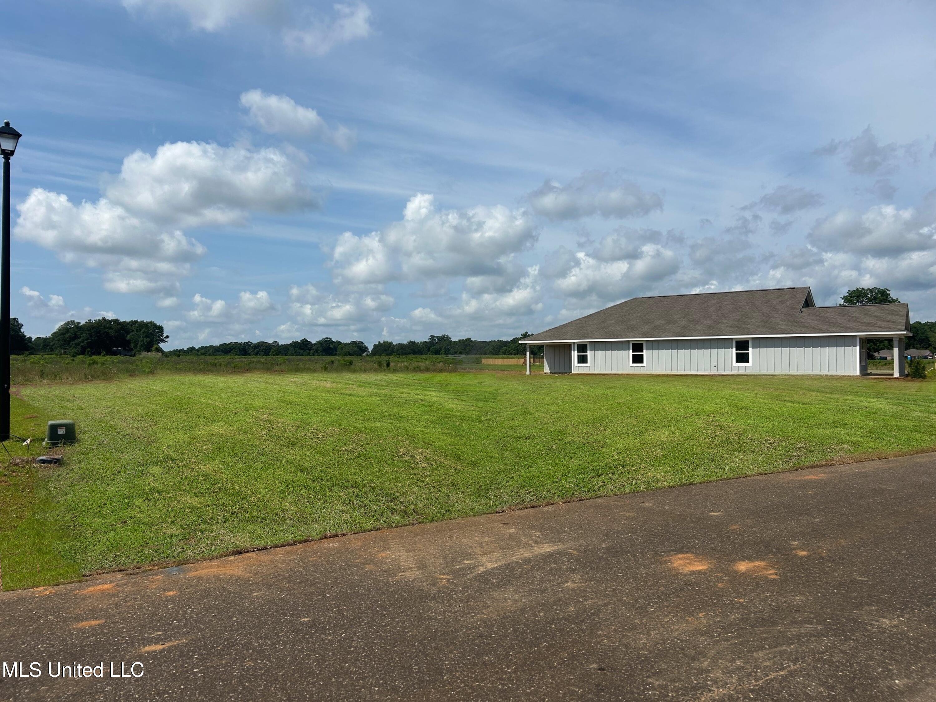 169 Mill Street Lucedale, MS 39452 - Photo 28 of 30 Side Exterior