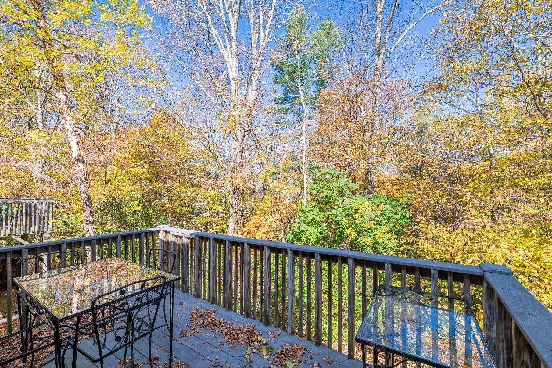 154 Kestrel Court Manchester, VT 05254 - Photo 31 of 33