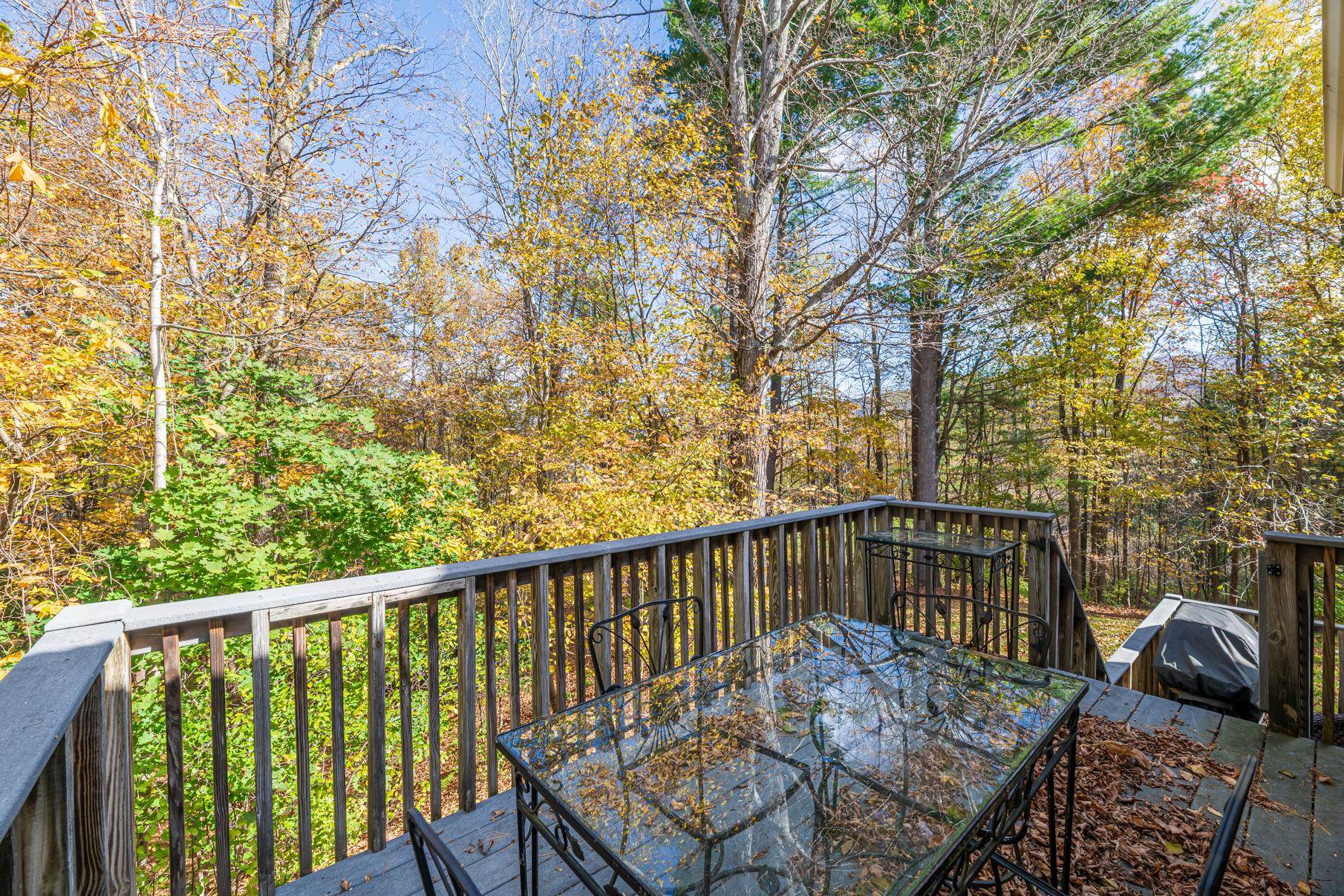 154 Kestrel Court Manchester, VT 05254 - Photo 33 of 33