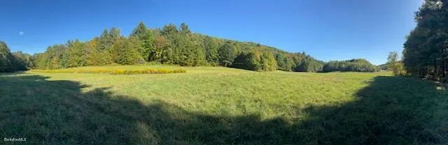 a view of an outdoor space and a yard
