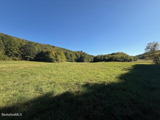 0 Daniels Road North Adams, MA 01247 - Photo 12 of 26 a view of yard with ocean view