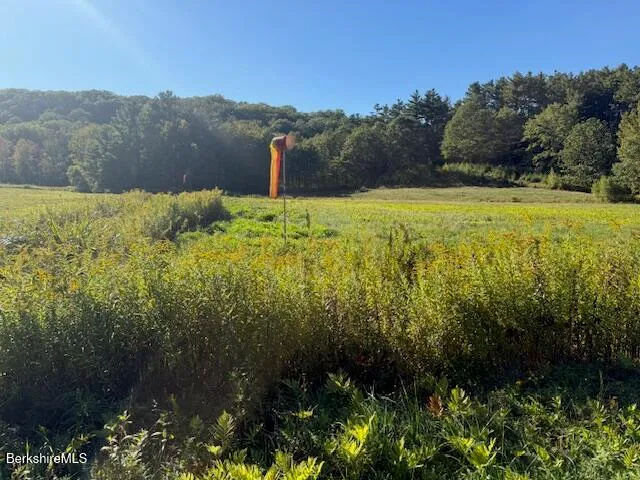 a view of a lake with mountains in the background
