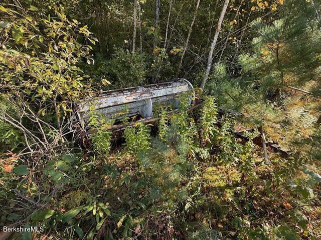 0 Daniels Road North Adams, MA 01247 - Photo 16 of 26 a view of a house with a tree