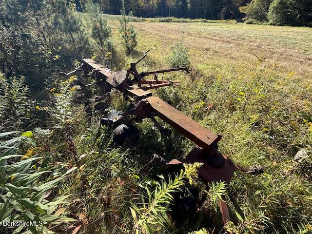 0 Daniels Road North Adams, MA 01247 - Photo 17 of 26 a view of a tree in a yard