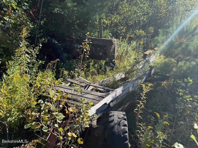 0 Daniels Road North Adams, MA 01247 - Photo 19 of 26 a view of a tree