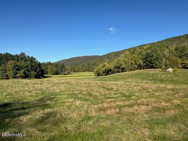 a view of a field with an ocean