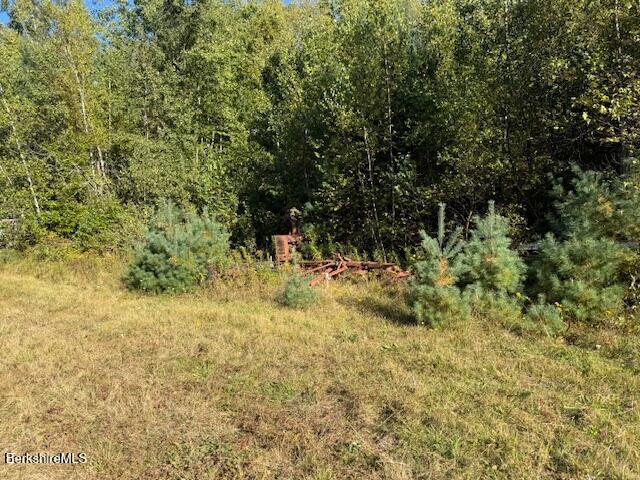 0 Daniels Road North Adams, MA 01247 - Photo 22 of 26 a view of a yard