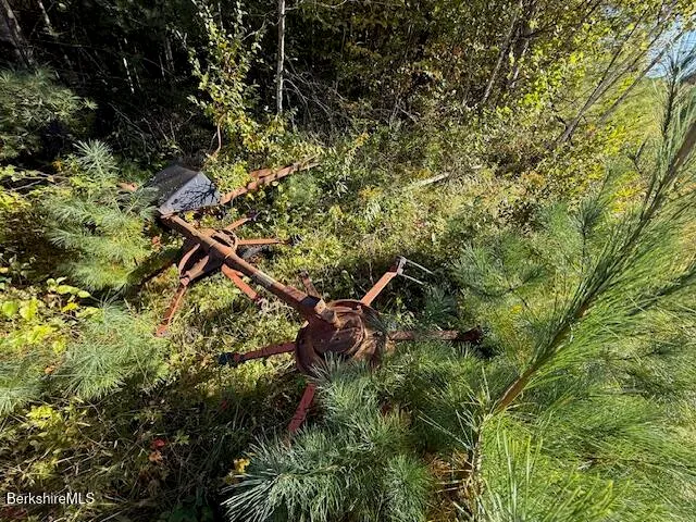 a view of a wooden bridge