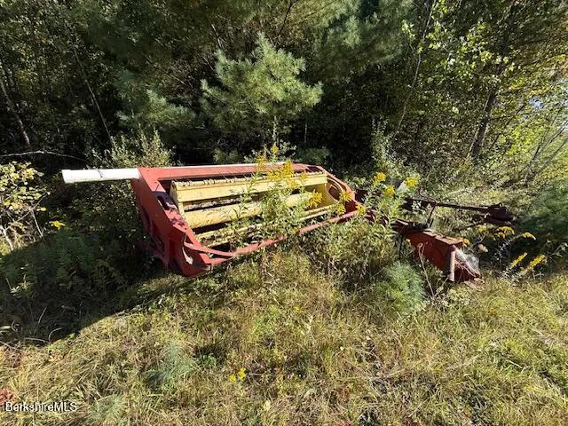 a view of a yard with plants