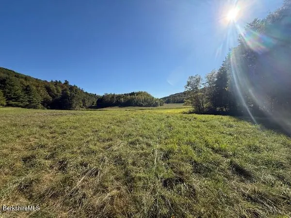a view of a lake with a yard