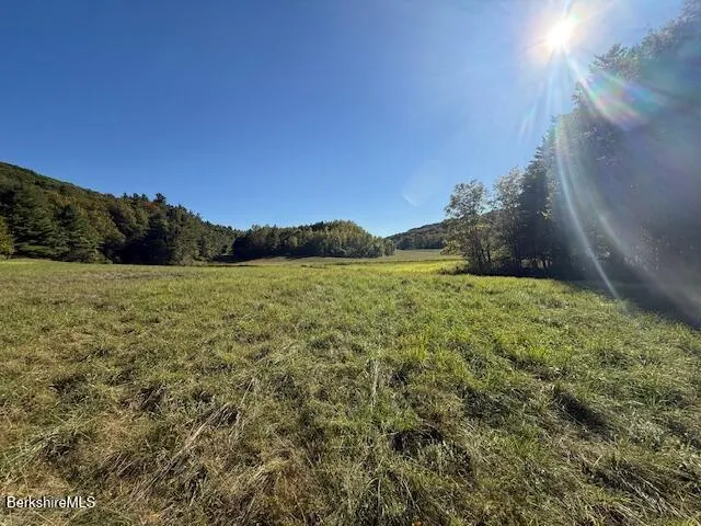 a view of a lake with a yard
