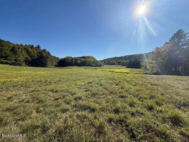 a view of an outdoor space and a yard
