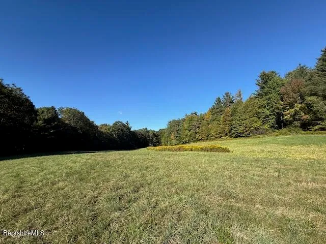a view of a field with an ocean