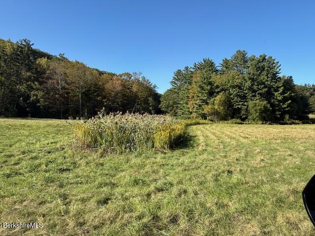 0 Daniels Road North Adams, MA 01247 - Photo 6 of 26 a view of swimming pool from a yard