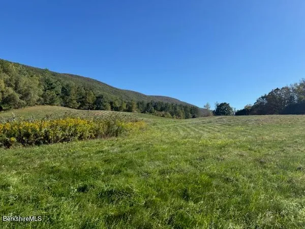 a view of a field with an ocean