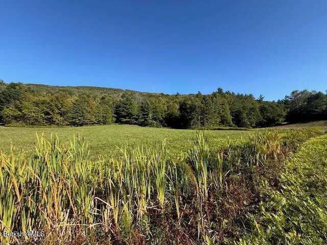 a view of a field with an ocean view