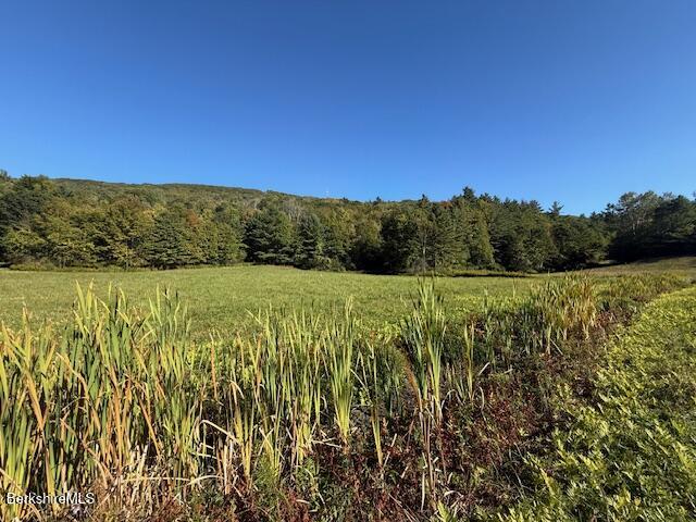 0 Daniels Road North Adams, MA 01247 - Photo 8 of 26 a view of a field with an ocean view
