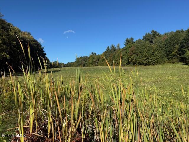 0 Daniels Road North Adams, MA 01247 - Photo 9 of 26 a view of a yard