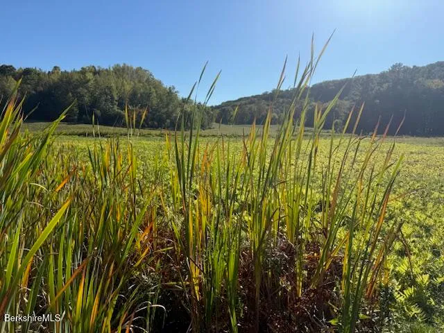 a view of swimming pool with a yard