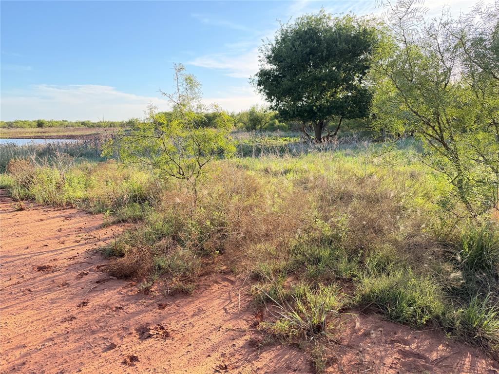 Tbd Nowell Road Quanah, TX 79252 - Photo 18 of 24