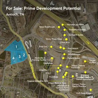 a view of a yard with plants