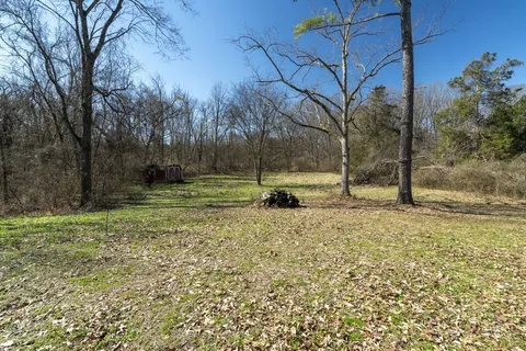 a view of a yard with large trees