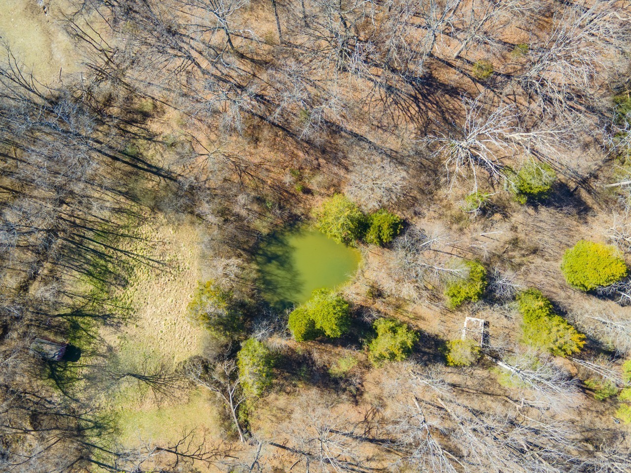 5407 Cane Ridge Road Antioch, TN 37013 - Photo 6 of 10 a view of a yard with plants and brick wall
