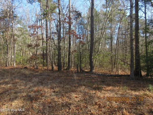 $80,000 | 107 Dot Sears Drive, Grandy, NC 27939