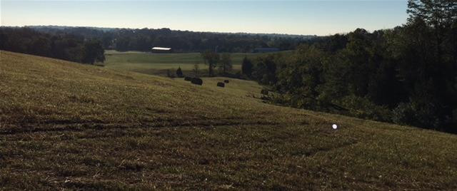 1 Graefenburg Road Lawrenceburg, KY 40342 - Photo 19 of 31 Photo 19