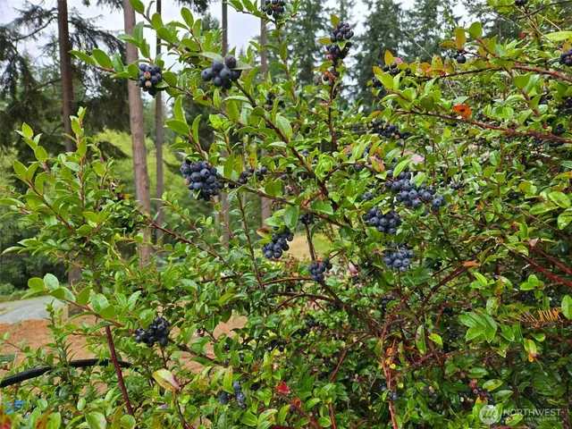 $285,000 | 3681 Kingston Court, Clinton, WA 98236