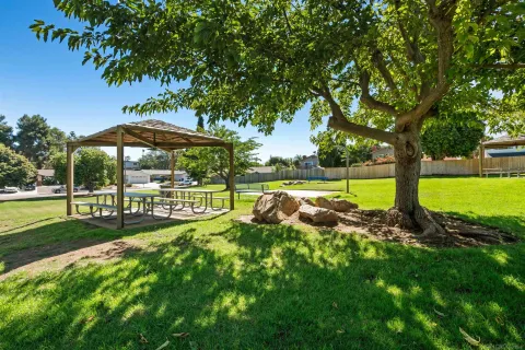 a view of a park with large trees