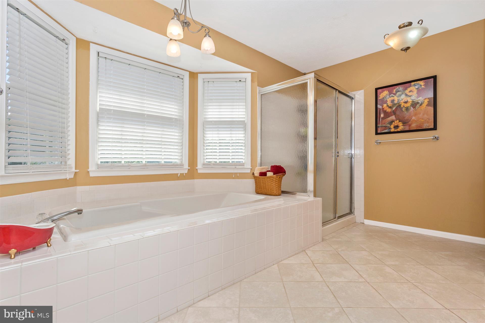 6126 Samuel Road New Market, MD 21774 - Photo 17 of 30 Bath (Master)