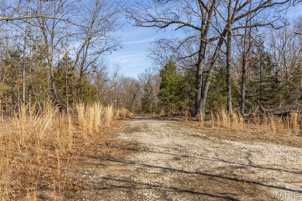 Lot 14 Ozark Heights Road Mineral Point, MO 63660 - Photo 5 of 7