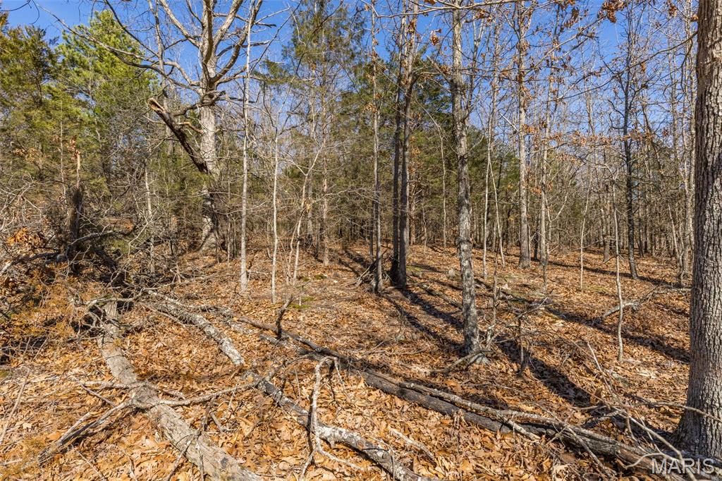 Lot 14 Ozark Heights Road Mineral Point, MO 63660 - Photo 6 of 7
