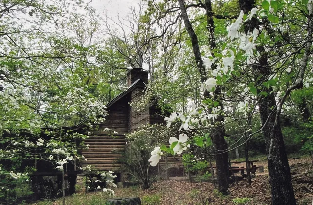 a backyard of a house with lots of trees