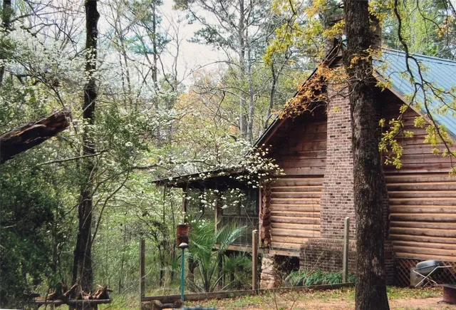 a backyard of a house with lots of trees