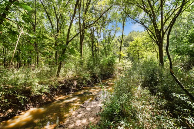 a backyard of a house