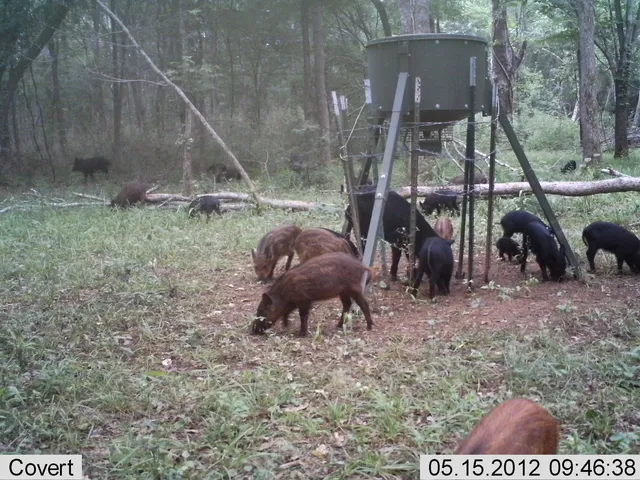 a view of outdoor kitchen outdoor seating