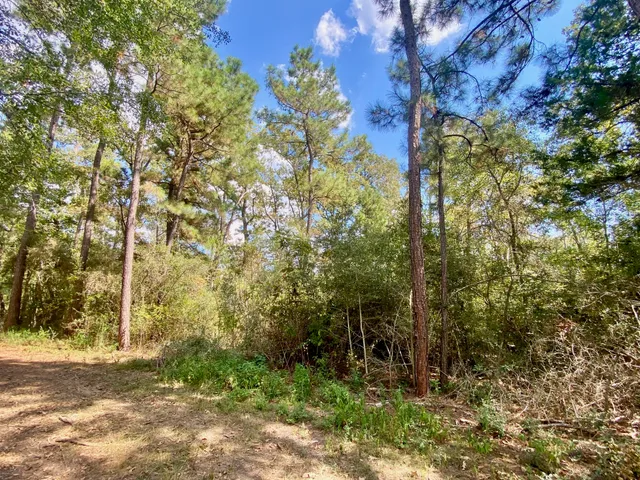 $625,000 | 1593 Cr 2290 Grapeland Tx 75844, Elkhart, TX 75839