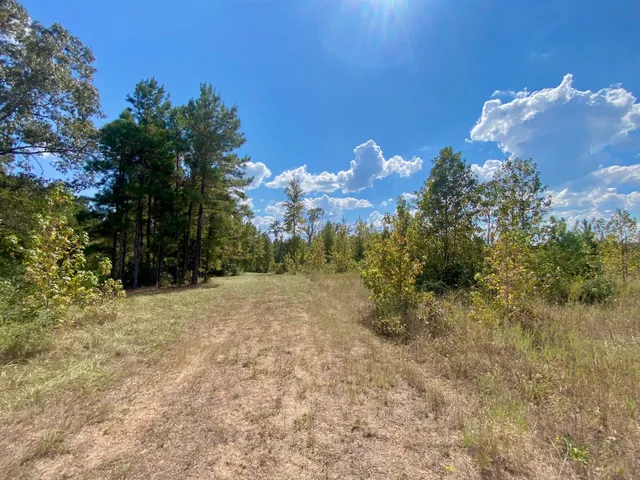 $625,000 | 1593 Cr 2290 Grapeland Tx 75844, Elkhart, TX 75839