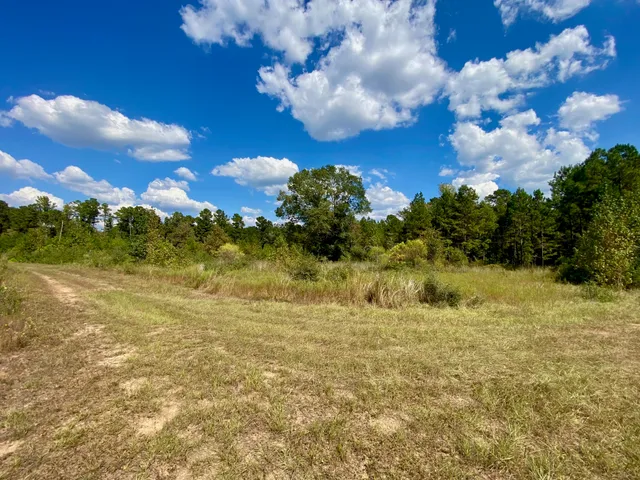 $625,000 | 1593 Cr 2290 Grapeland Tx 75844, Elkhart, TX 75839