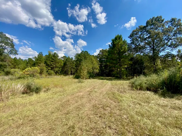 $625,000 | 1593 Cr 2290 Grapeland Tx 75844, Elkhart, TX 75839