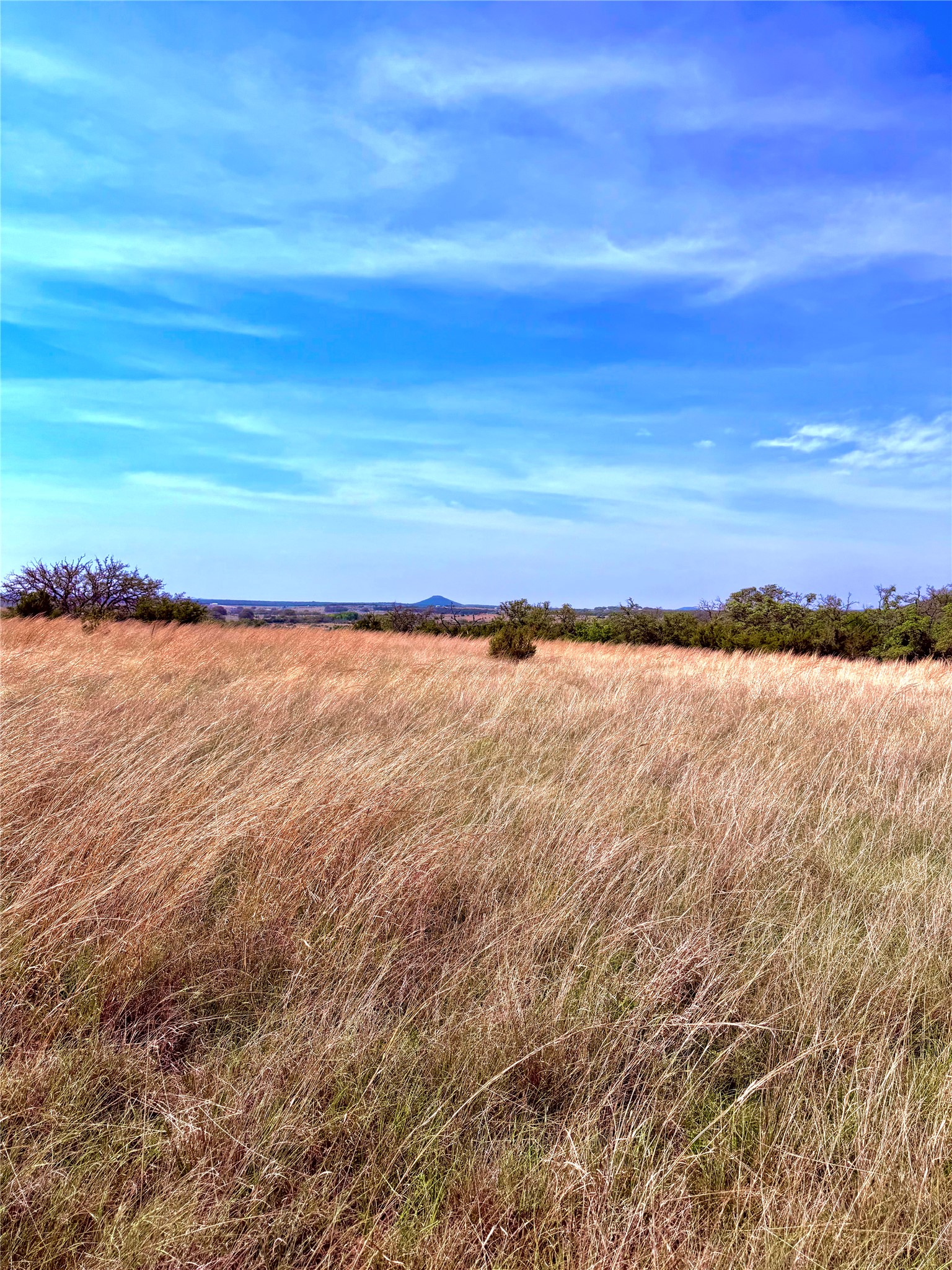 39 330th Goldthwaite, TX 76844 - Photo 7 of 12 View of undeveloped land featuring rural landscape